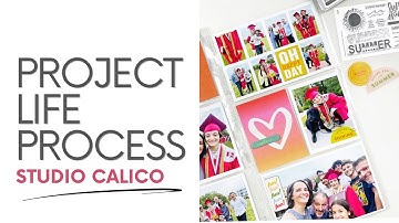 Project Life Process Layout 2023 | DT Studio Calico Keep On Shinning Kit