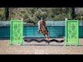 BridleWood Signature Required 2026 January GSH .70m Winner 