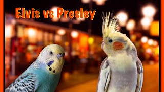 Elvis vs Presley