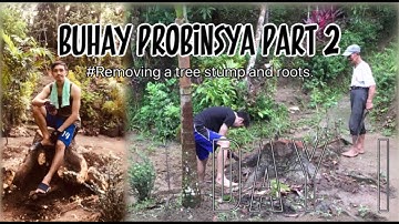 Buhay Probinsya Part 2 || Removing a tree stump and roots || Day 1