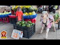 Yoyo jr takes goats to harvest vegetables sell and help people around  full version