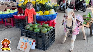 YoYo JR takes goats to harvest vegetables sell and help people around Full version