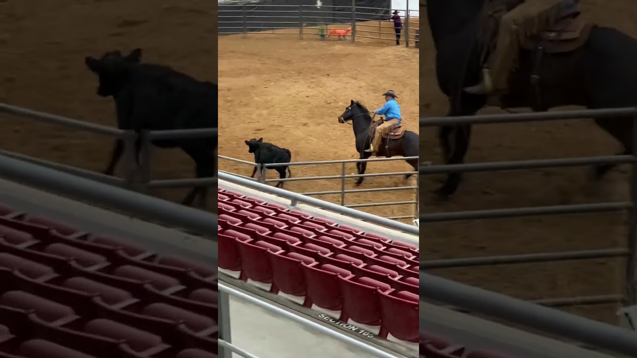 2022 EXCA World Finals - Top 10 Chad in Pro Division on Eldon