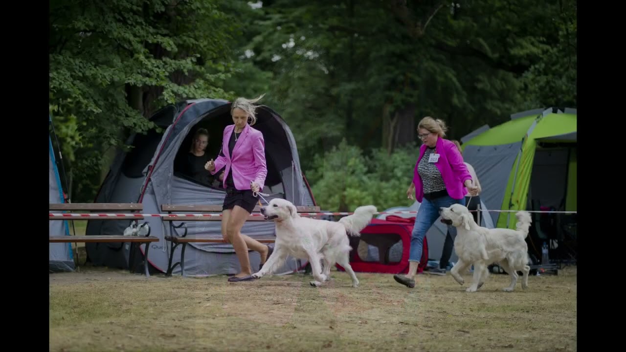 30.7.2022 IDS (CACIB) Opole, Moszna Castle - GR - FANTASY FLY Dance Til Dawn