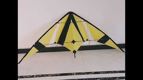 Delta stunt  kite with dual  line