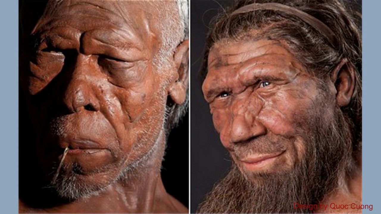 Восстановление физического облика древних людей
