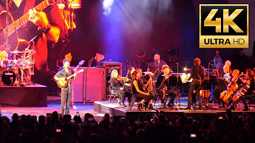 Dave Matthews Band - ORCHESTRA "What You Are"  September 19, 2022 Hollywood Bowl