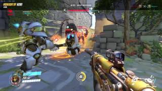 Overwatch - What's wrong with Reinhardt?