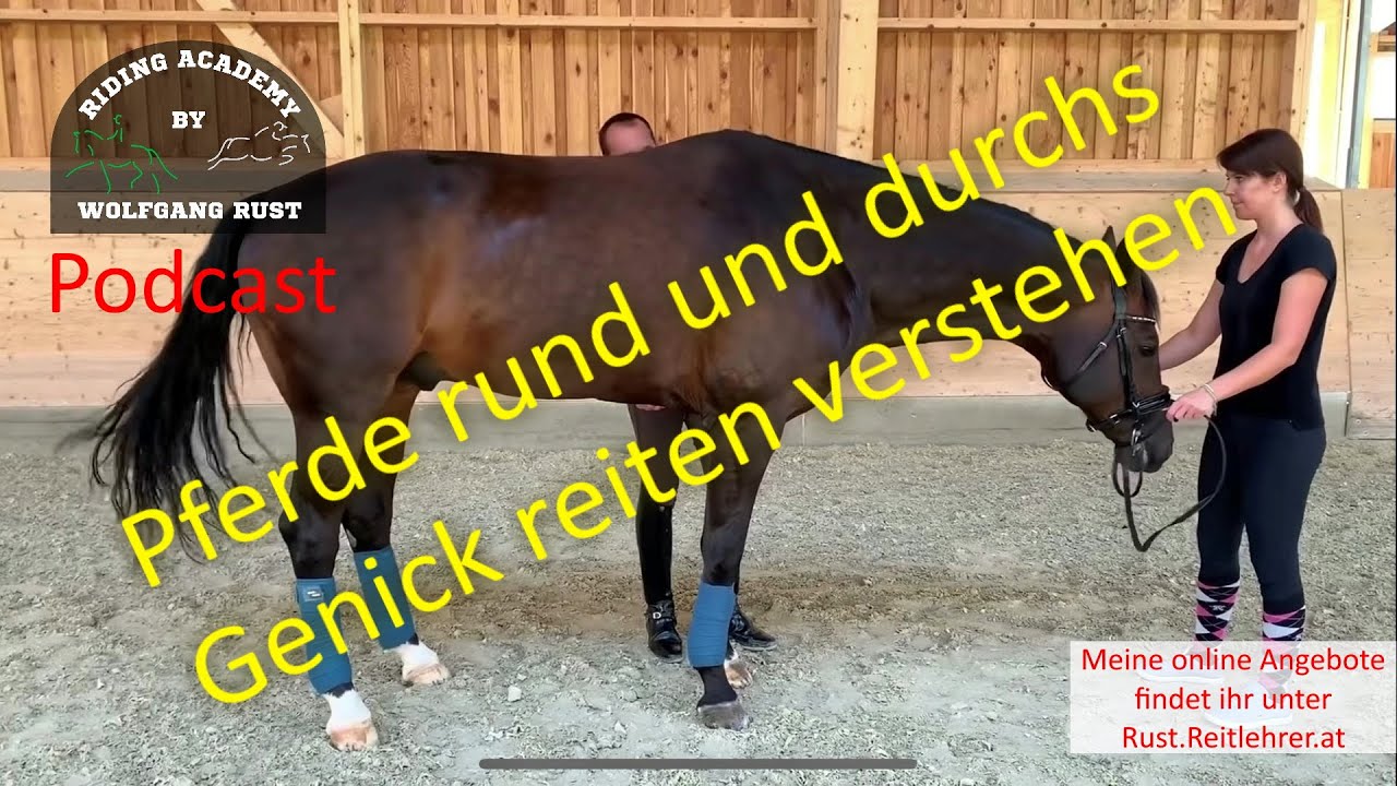 Wie Reitet Man Ein Pferd Durchs Genick Podcast Teil 1: Zusammenfassung! So kannst du dein Pferd rund und