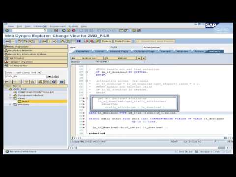 Web Dynpro File