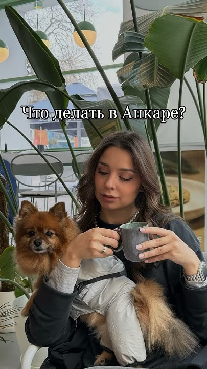 Что мы делали в Анкаре 3 дня?) #анкара#путешествие#собака#турция#семья# ...