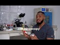 Forget Widal! Here’s the REAL Test for Typhoid