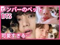 【BTSのペット紹介】飼っている種類・名前・エピソードを公開！