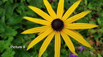 Samsung Galaxy S8 vs DSLR Camera comparison