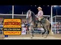 ⭐️Pillín Osuna | CABALLOS BAILADORES | ExpoGan Sonora 2025