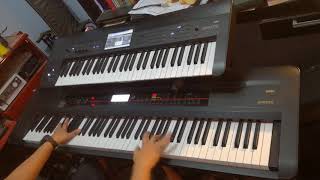 ADAGIO - THE STRINGLESS VIOLIN - PIANO SOLO