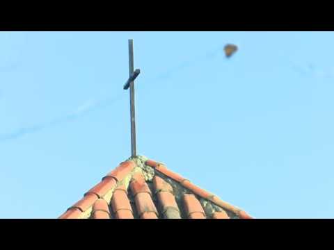 13.12.2017 დღეს წმინდა მეფე ვახტანგ გორგასლისა და ანდრია პირველწპოდებულის ხსენების დღე აღინიშნება