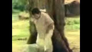 mudhal mariyadhai ilayaraja bgm.3gp