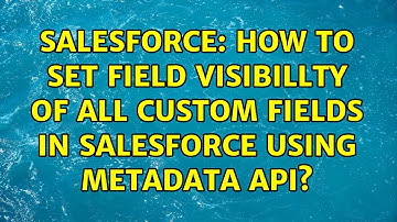 Salesforce: How to set field visibillty of all custom fields in salesforce using Metadata API?