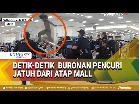 Dramatic Moment: Theft Suspect Arrested in the United States