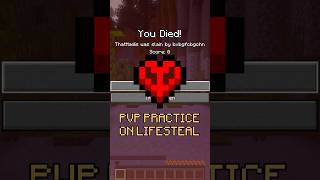 I fixed the biggest problem with Lifesteal SMPs... 🗡️