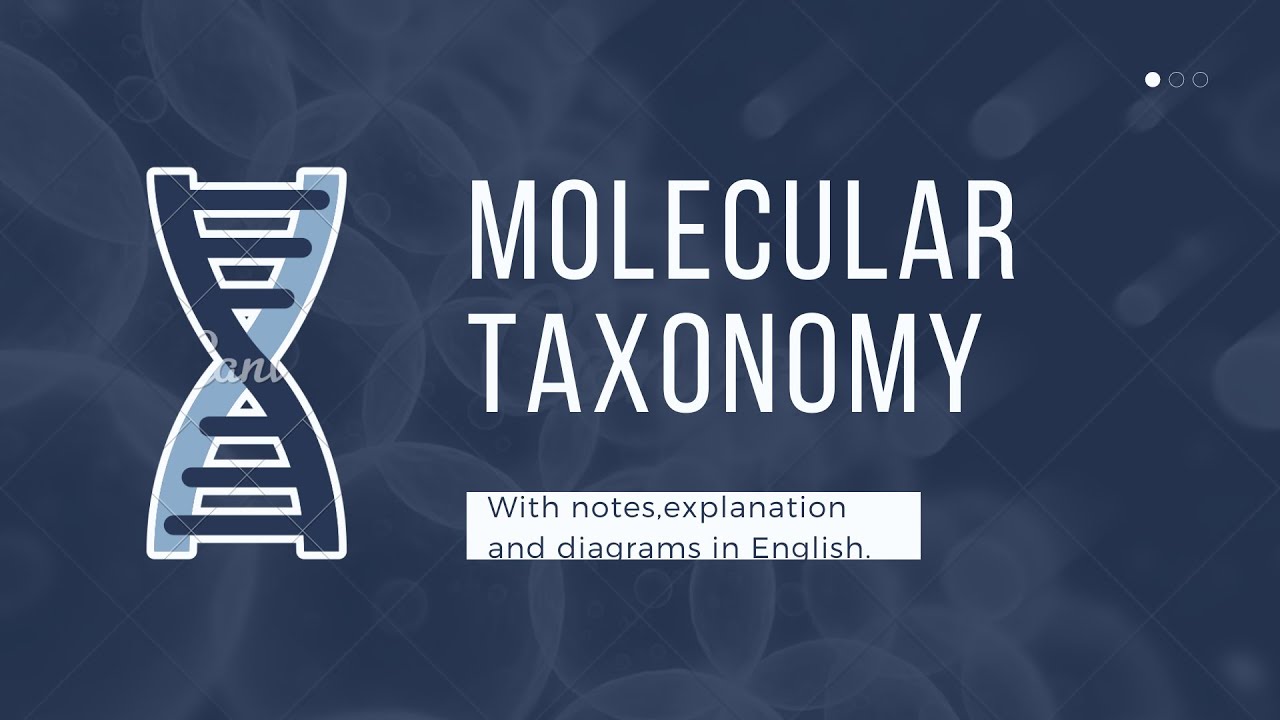 Molecular Taxonomy with notes in English YouTube