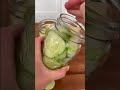 Quick Farm to Table Pickles! Cucumber Harvest