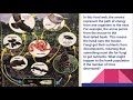 Energy and Ecosystems Quiz
