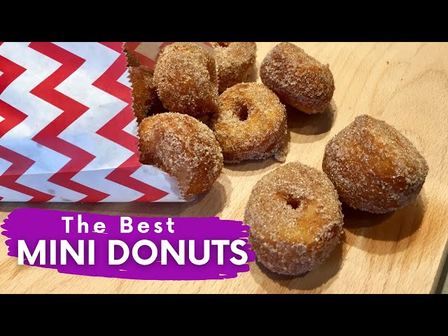 Homemade Mini Donuts Recipe just like the ones at the FAIR class=