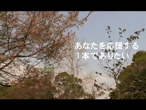 あなたのそばに