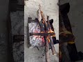 ठण्ड में आग के मजे