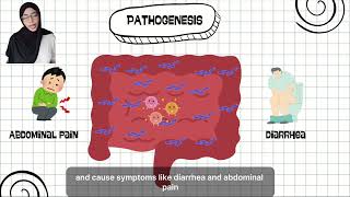 HS241- Clostridioides difficile