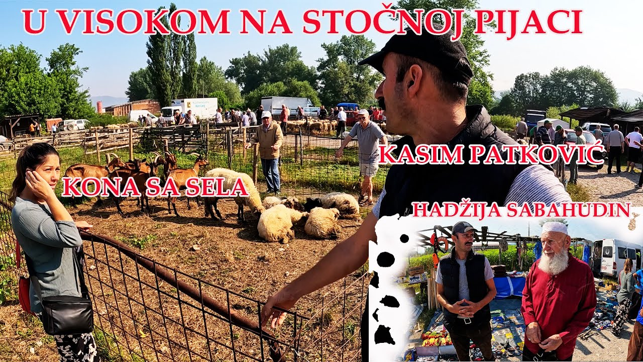 TRAŽIM KRAVU ,,KONI SA SELA