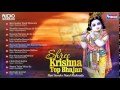 10 shree krishna bhajans   hindi bhajan  hari sunder nand mukunda  sai aashirwad