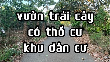 không có thời gian chăm sóc anh sơn đành nhượng lại mảnh vườn trái cây ở châu đức bà rịa vũng tàu