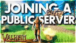 I Joined A Public Server In Valheim (again)