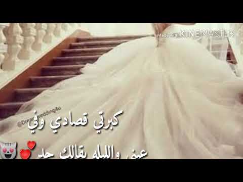 كبرتي قصادى وفي عيني والليله بقالك حد الله يسعدك حبيبت قلبي جوجو