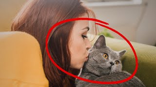 ¿BESAS a tu GATO? ¡Descubre lo que realmente siente tu gato cuando lo besas!