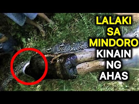 LALAKI sa MINDORO KINAIN ng HIGANTENG AHAS o SAWA