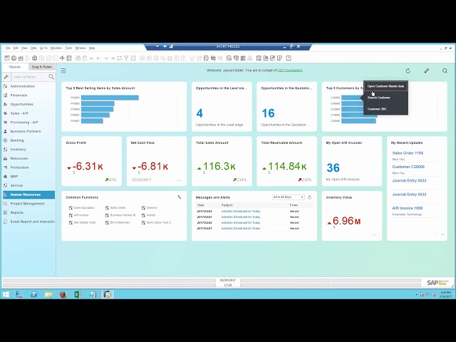 The SAP Business One WOW demo