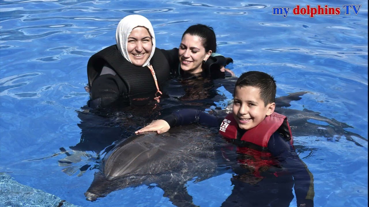 Mustafa`s  Delfin unterstützte Therapie Schlußvideo