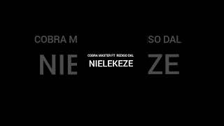 Download Lagu COBRA MASTER FT REDISO DAL NIELEKEZE 2025 MP3