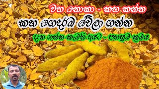 කහ කුඩු ගෙදරදී හදන්නේ කොහොමද