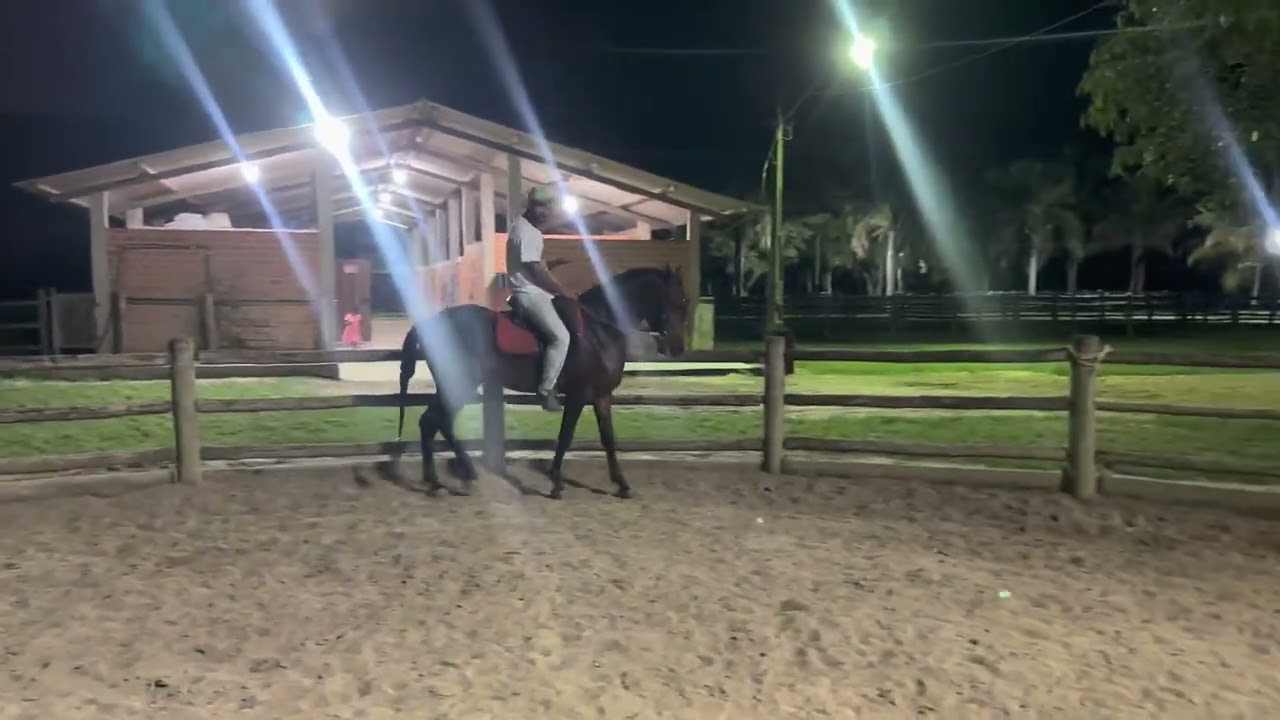 VOCÊ REÚNE O SEU CAVALO ?