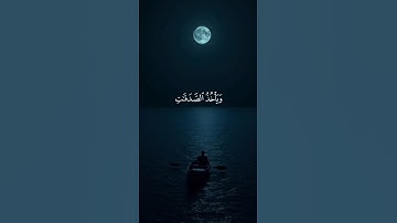 اكتب شيء تؤجر عليه ❤️ // قران كريم | ياسر الدوسري