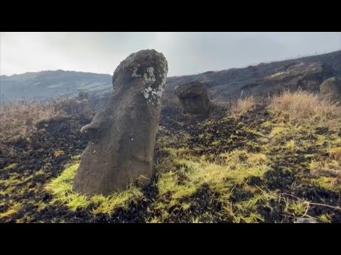 Easter Island blaze chars famous moai statues | AFP