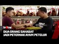 Darma Farm Peternakan Ayam Milik Dua Orang Sahabat | Manusia Nusantara