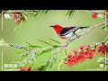GOOD MORNING MUSIC: Wake Up Happy &amp; Positive Energy || Morning Meditation Music - Birds Sounds