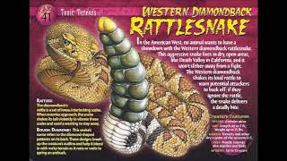 03  Weird N Wild Creatures   Toxic Terrors