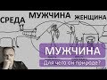 Мужчина - Буфер. Цель природы - принести мужчину в жертву. читает Викрам.